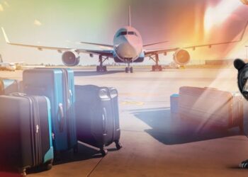 دب يثير الرعب على متن طائرة للخطوط الجوية العراقية ويتسبب بتأخير الرحلة