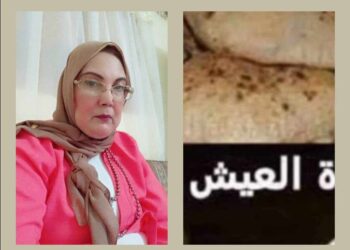 « العيش والملح » للشاعرة فاطمة علام …