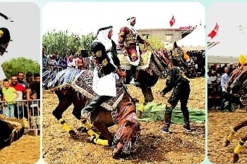 « مهرجان الفروسية ببوازرية ببنزرت الجنوبية » كتب رفيق بالرزاقة