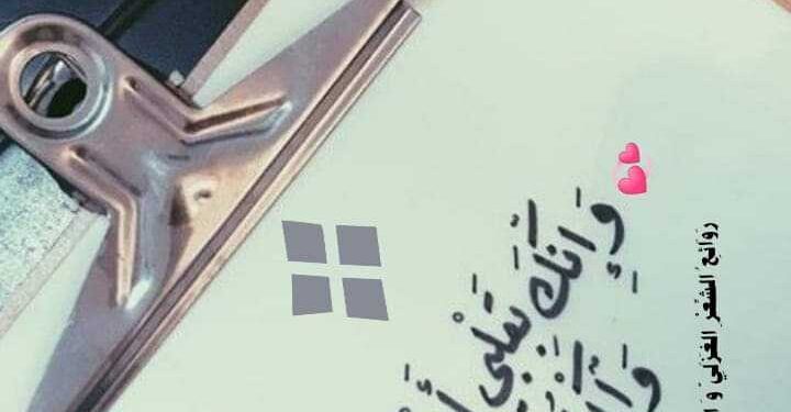 حب بلا أمل .. بقلم الشاعر عبد العزيز أبو خليل