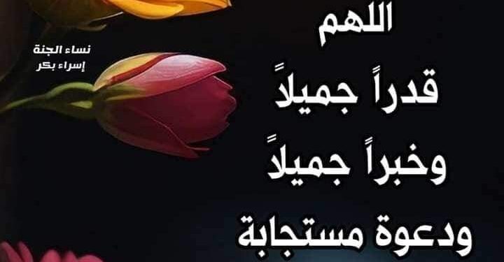 « جمعة استلهامات » للشاعر عماد شكرى حجازى