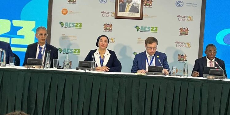 وزيرة البيئة والمنسق الوزاري تشارك في جلسة التكيف للقارة