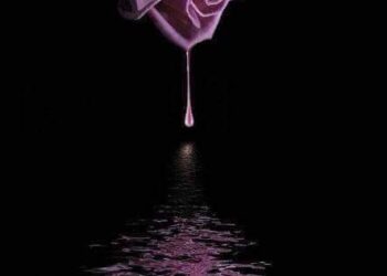 « لحظات » للشاعر ابو روان حبش 