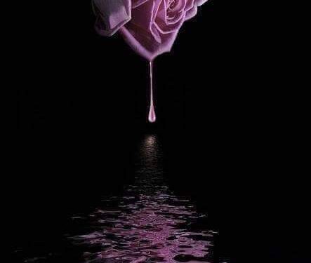 « لحظات » للشاعر ابو روان حبش 