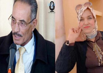 قراءة في قصيد مرئيةجديدة في قرطبة للشاعر نور الدين القاسمي بقلم الناقدة منوبية الغضباني تونس