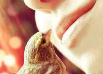 « حبيبتي تقول » للشاعر ابو سلام البصري