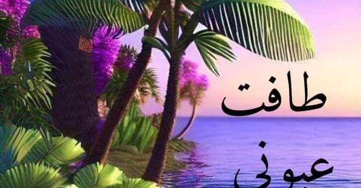 « طافت عيوني » بقلم الدكتور مهدي داود