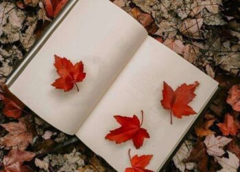 عودة أيلول .. بقلم أسماء الشيباني