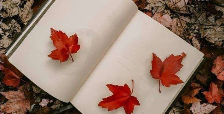 عودة أيلول .. بقلم أسماء الشيباني