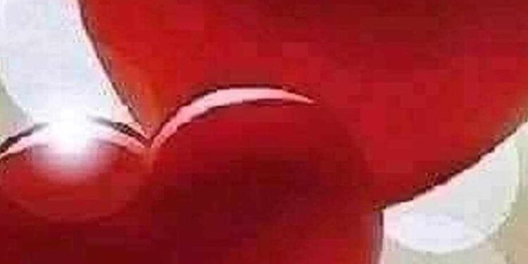 « لذّة الحلول » للشاعرة روضة بوسليمي