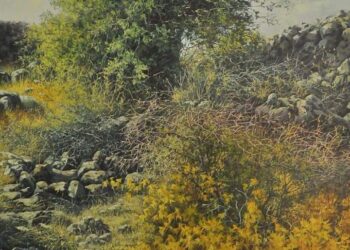 لا لن أكون .. بقلم الأديب الراحل سلامة عبيد