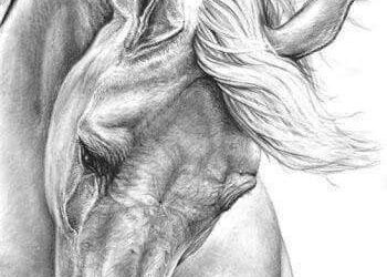 « قل » للشاعرة مفيدة القاضي …