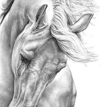 « قل » للشاعرة مفيدة القاضي …