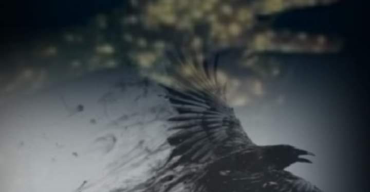 « أحلام مبعثرة » للشاعر نافع حاج حسين