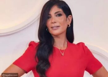 منى زكي تعتذر لابنتها وتكشف تأثير الضغوطات على علاقتها بأحمد حلمى