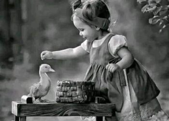 « بلا خجل ولا حياء » للشاعرة إيمان سعيد …