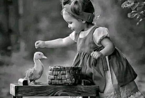 « بلا خجل ولا حياء » للشاعرة إيمان سعيد …