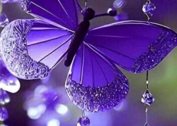 « ذكريات » للشاعرة نسرين احمد