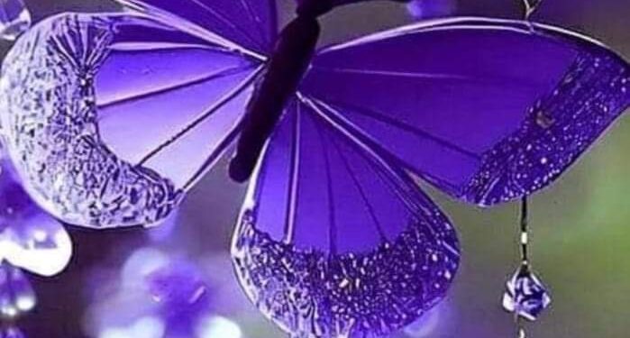 « ذكريات » للشاعرة نسرين احمد