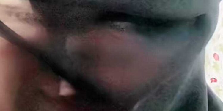 « أحداق المشيب » للشاعر عماد شكرى حجازى