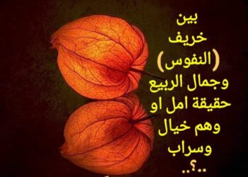 « قزع الخريف » للشاعر عباس ابو عادل