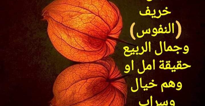 « قزع الخريف » للشاعر عباس ابو عادل