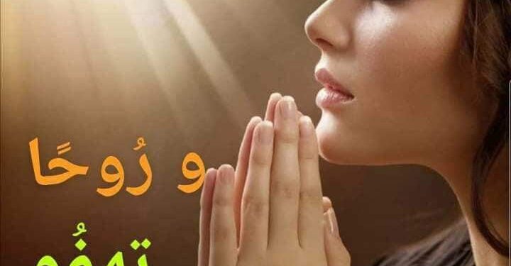 « وروحًا تهفُو اليكَ » للشاعر د. صلاح شوقي