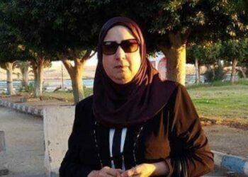 محاولة فهم …