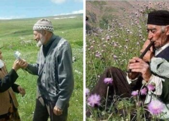 « للذّكريات تجاعيد » للشاعر عبد الباسط ابو ريا …