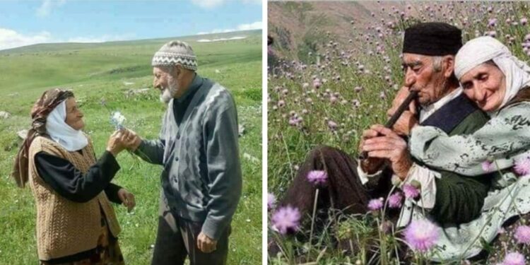 « للذّكريات تجاعيد » للشاعر عبد الباسط ابو ريا …