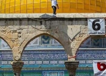 « يحضني ترياقك » للشاعرة ناديه عبد المحسن …