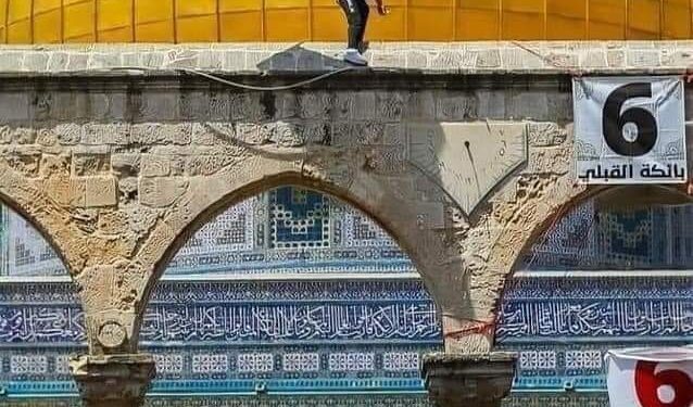 « يحضني ترياقك » للشاعرة ناديه عبد المحسن …