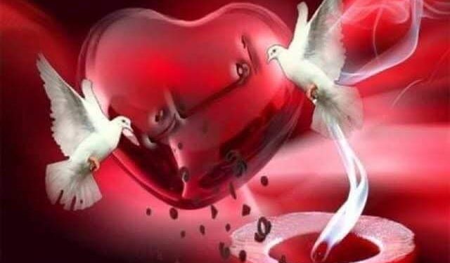 « نفسي أقدر أقولها » للشاعر صبري حسين