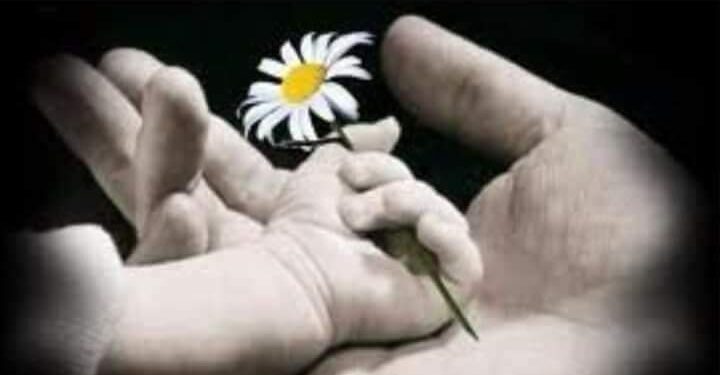 « ومن الحنين ما يُضلّ » للشاعرة روضة بوسليمي …