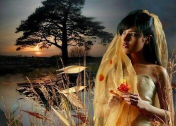 « قالوا: أنكِ حسناء » للشاعر عبد الحميد الصناديدى