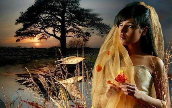 « قالوا: أنكِ حسناء » للشاعر عبد الحميد الصناديدى