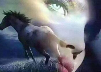 « وتراني » د .. آمال بوحرب 