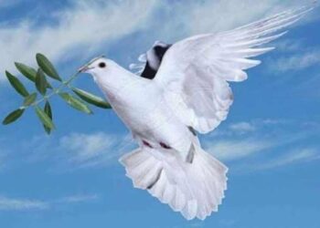 كسرت الأقلام …