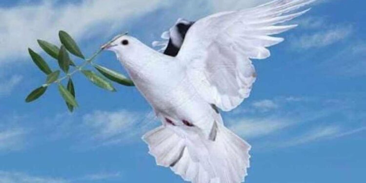 كسرت الأقلام …