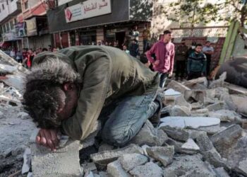 « ل …فلسطين » للشاعر  محمد حكم