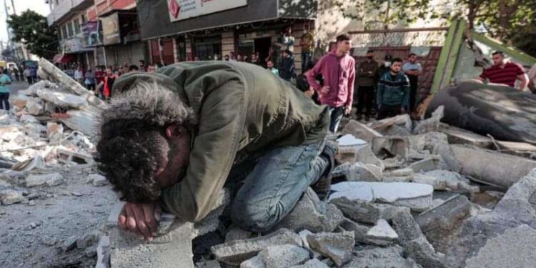 « ل …فلسطين » للشاعر محمد حكم