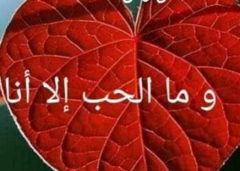 « طيب رتوش اللوحات » للشاعر عماد شكرى حجازى