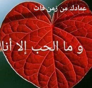 « طيب رتوش اللوحات » للشاعر عماد شكرى حجازى