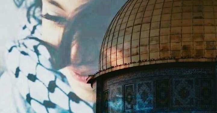 لن تموتى يا مدينتى …