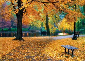 موسم خريف هذه السنة …