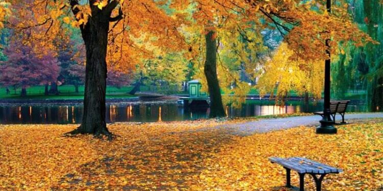 موسم خريف هذه السنة …