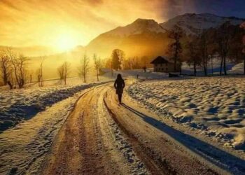 « أيها الطريق » للشاعر يحيى حسين القاهرة