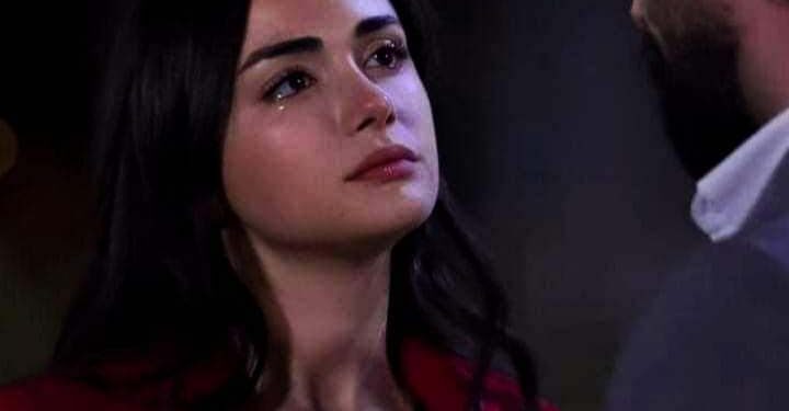 « كان ليكٍ » للشاعر وائل رشوان