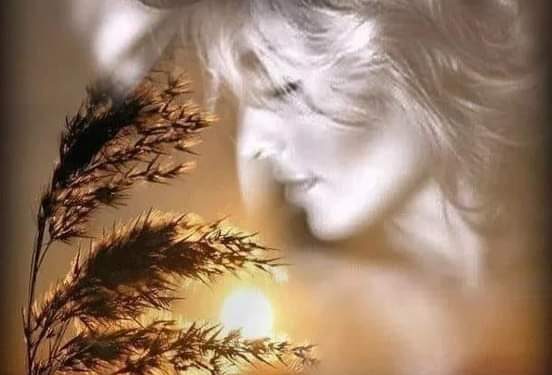 « حنين » للشاعرة إيمان سعيد …