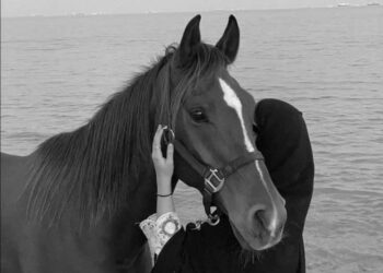 إلى أين أرحل ..؟